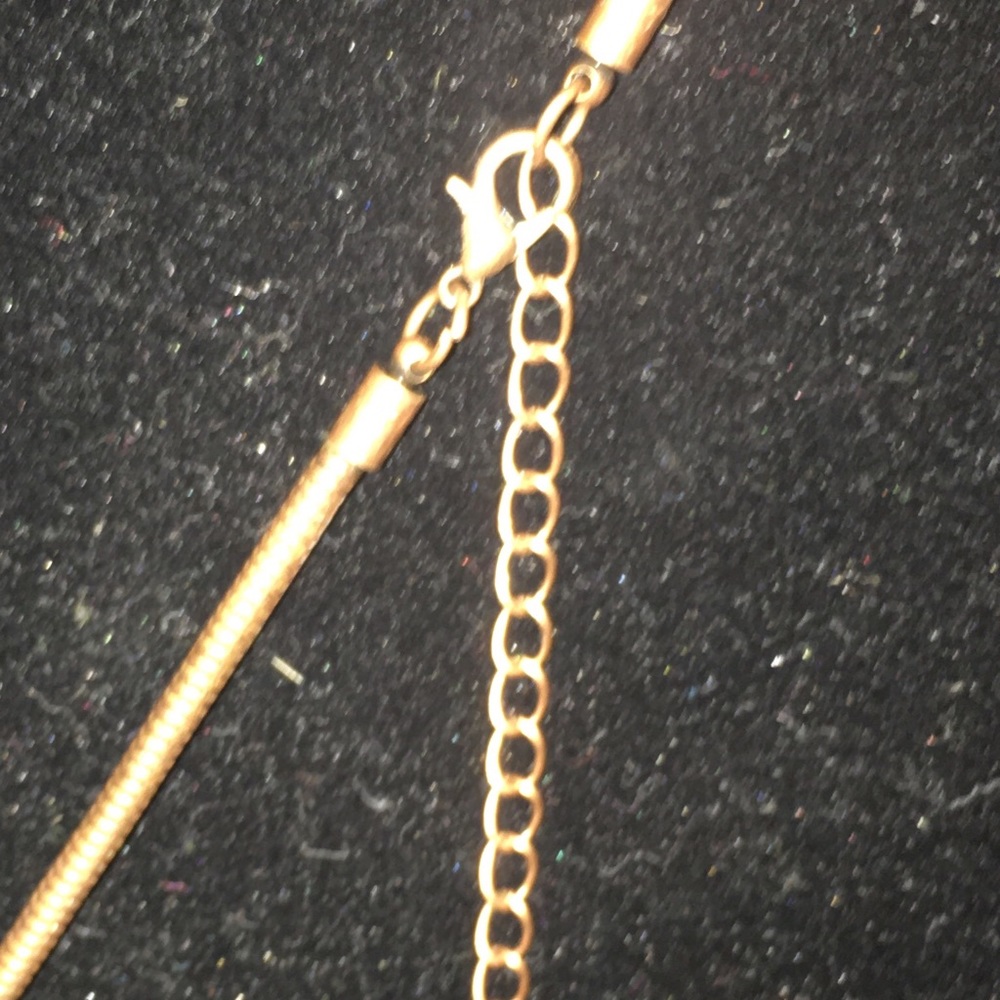 Untamed Plate Necklace Set - Picture 7 of 7